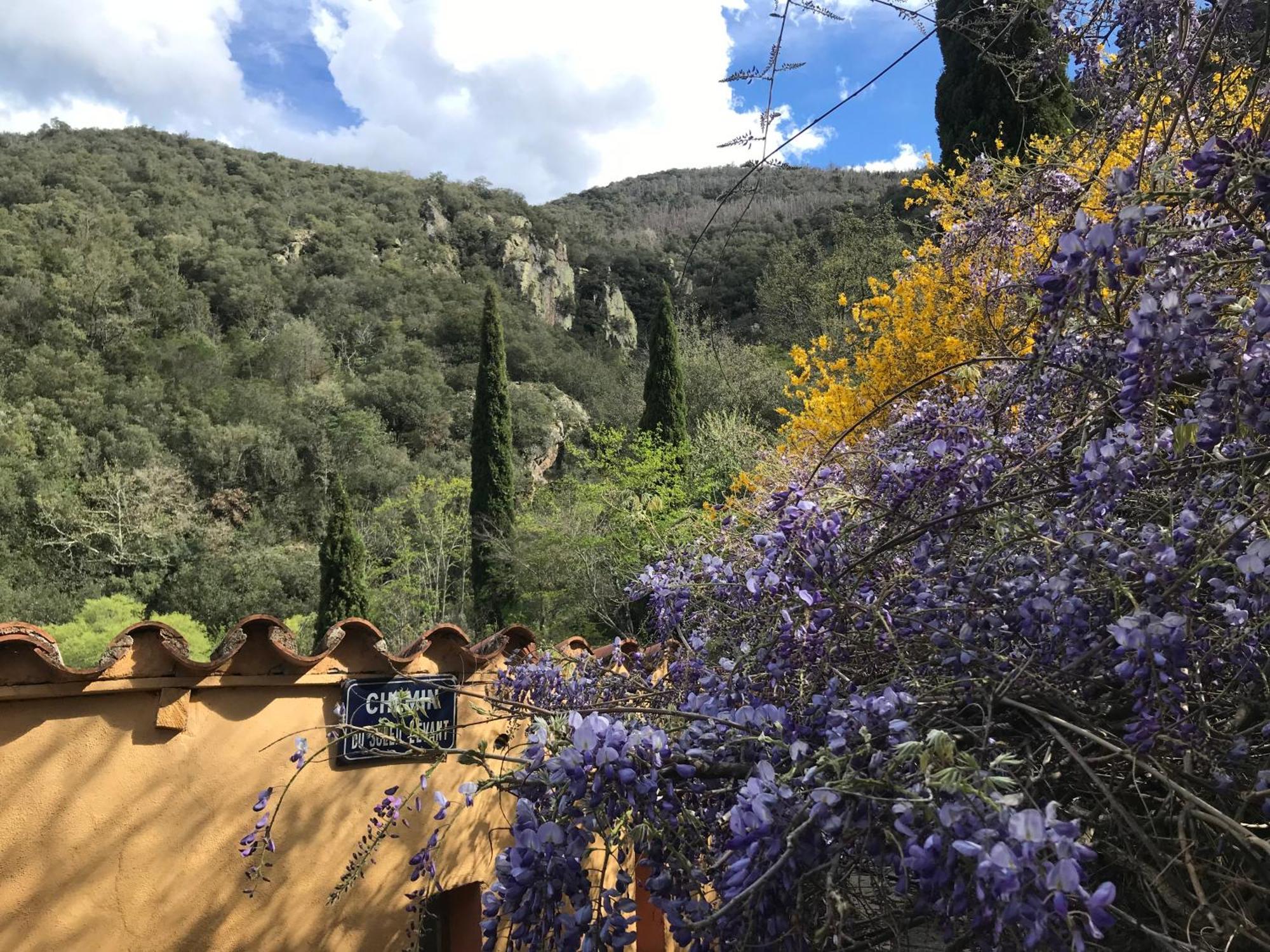 Villa El Refugio à Reynès Extérieur photo